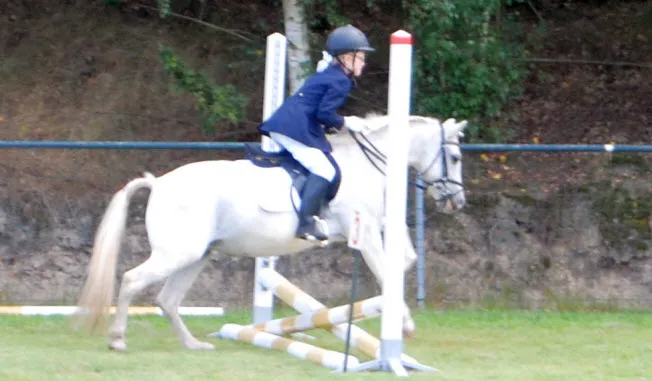 w3glm2bgjc1low3wfn7ahwlt3 toekomst0209