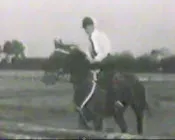 wbf13v063n25bw8cskei2m6ao 70268