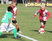 wnyjj0p8frv07sgpqjfeqf5t1 166803