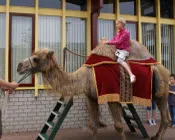 wqtf20cjna53ehr03q6bn9uri 16075