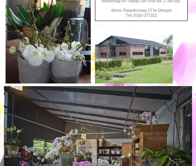 xqq8d5fk47o6i20i05r1y6m5f pulcher