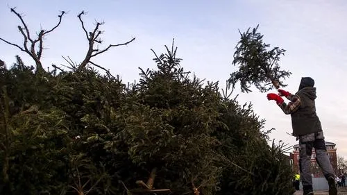 y0e9xtldxjyb0giztcrxx603z kerstbomen