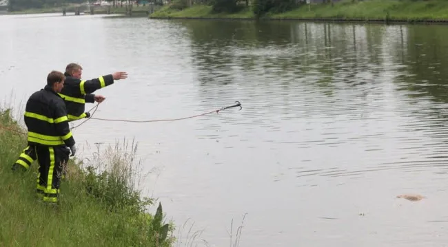 y1lvh37pv2bzd23svss0e10kd hert1