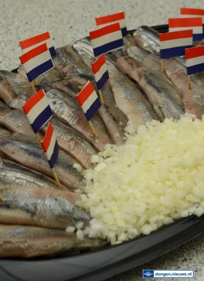 y49pqo5fafx30yqx9gfvcyohy 212155