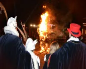 zkjsu6g1msa9r3zihqnw8l18u 211788