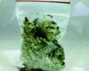 zkqrac5qls3ybs78txfr9m790 153253