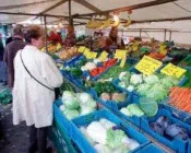 zqjkec757trf4x0jf5qxban26 70026