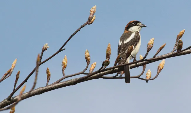 zt57fbw23zfla3b6jtyja6p0g keg12