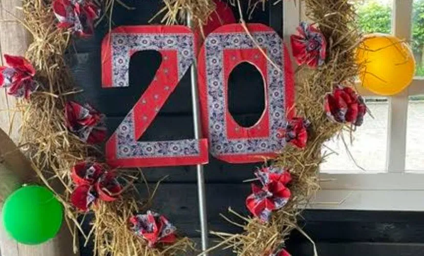 20