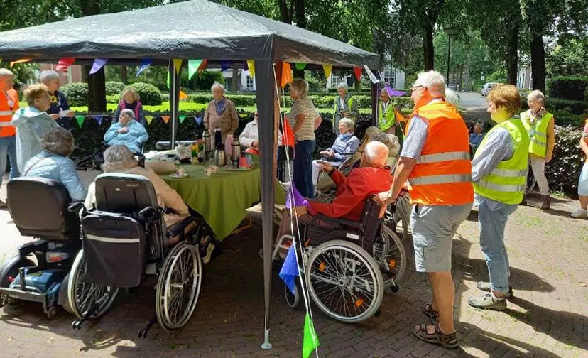 zonnebloem1