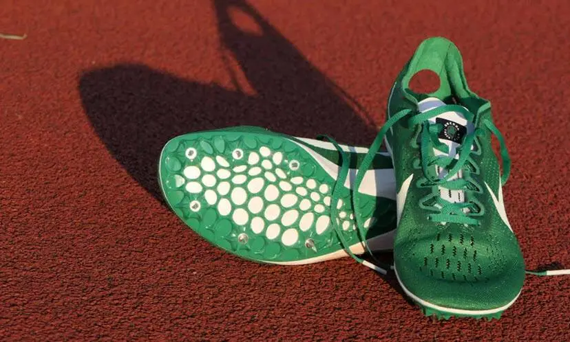 sportschoienen