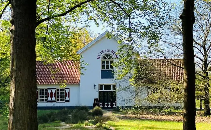 hth1