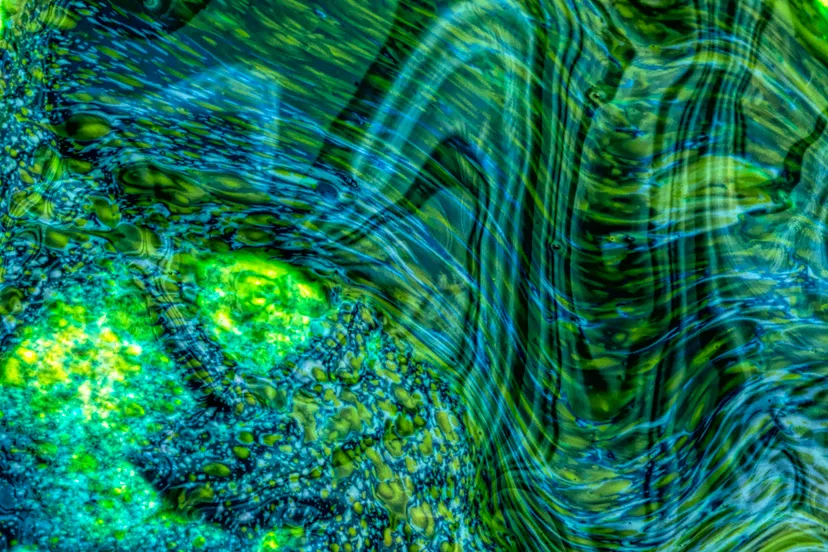 1-ina-bloemendal-klein-formaat