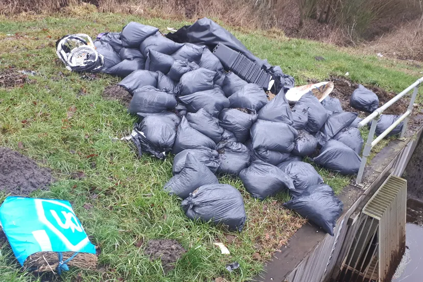 140632049-1825358217616691-3152301291881648567-o