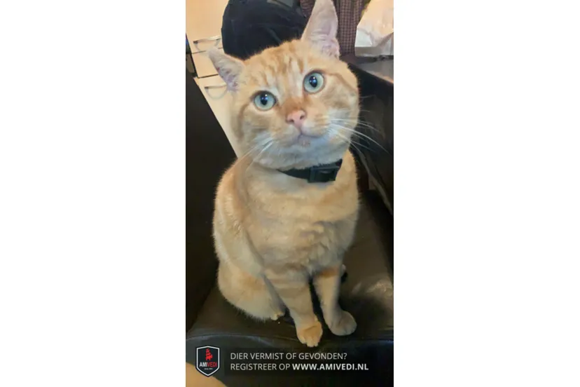 1689424-zjfoxg0r-xlwm