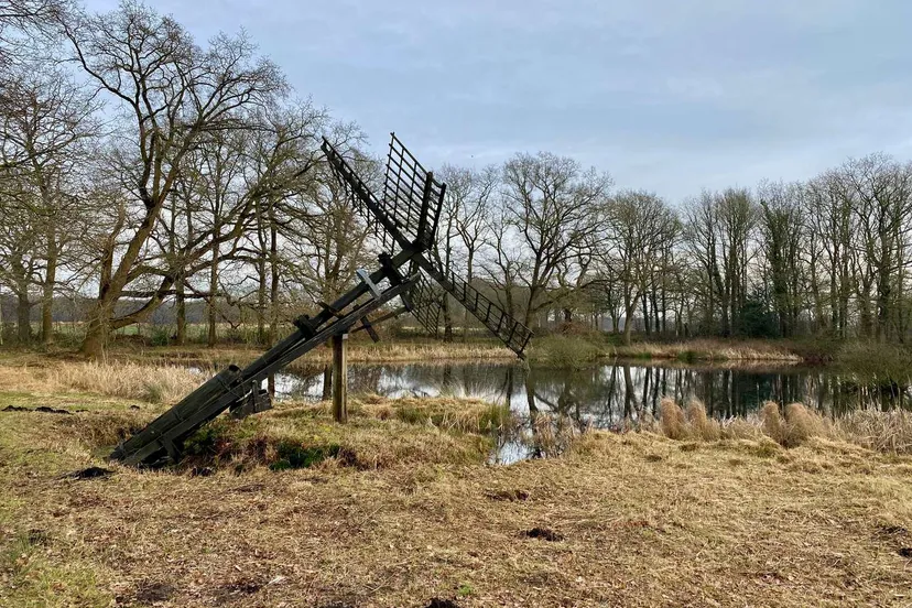 2025-02-tjasker-zeijen-bollenveen-anja-verbers