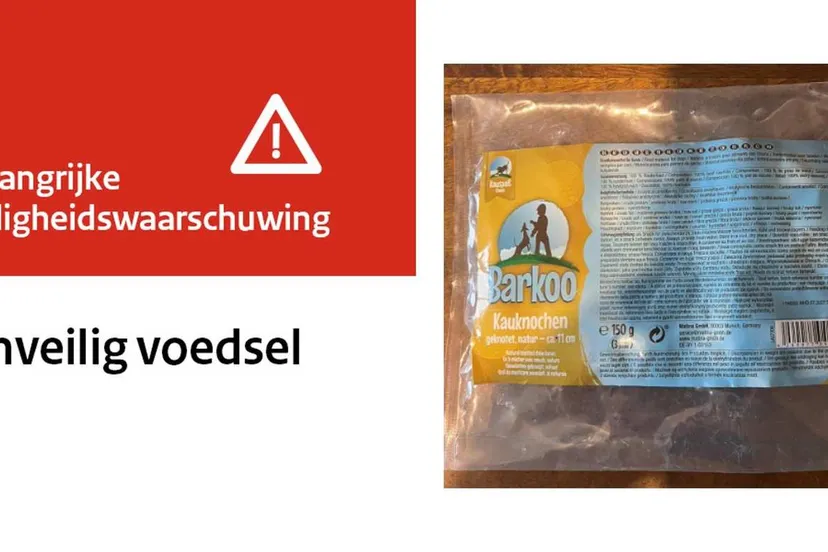 471597899-924508896438679-3800234482067048011-n