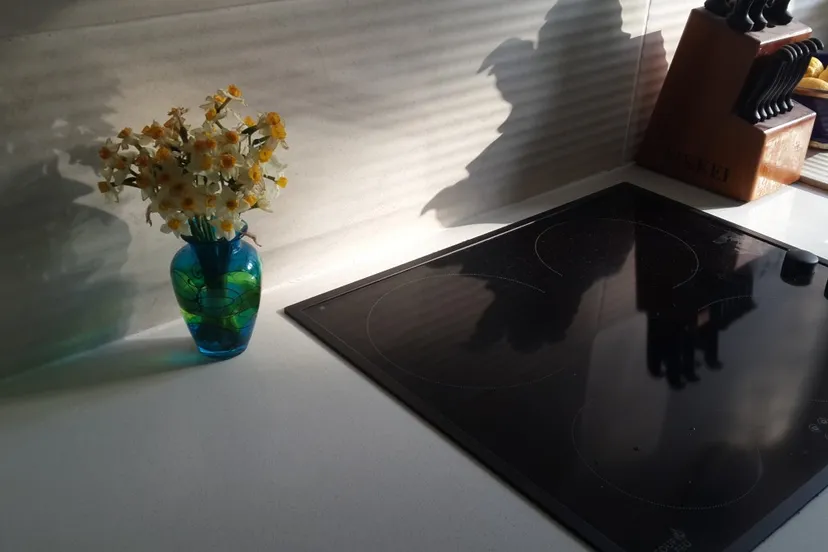 aardgasvrij-elektrischekookplaat