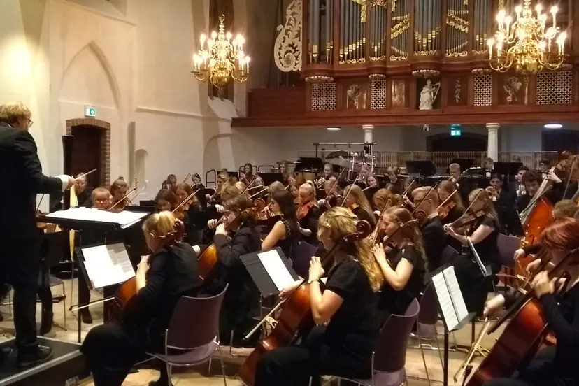 beilen-stefanuskerk-vuurvogel