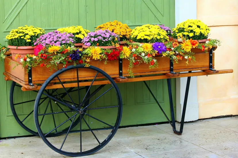 bloemen-bloemetjes-buiten-pixabay-flower-cart-58418-1920