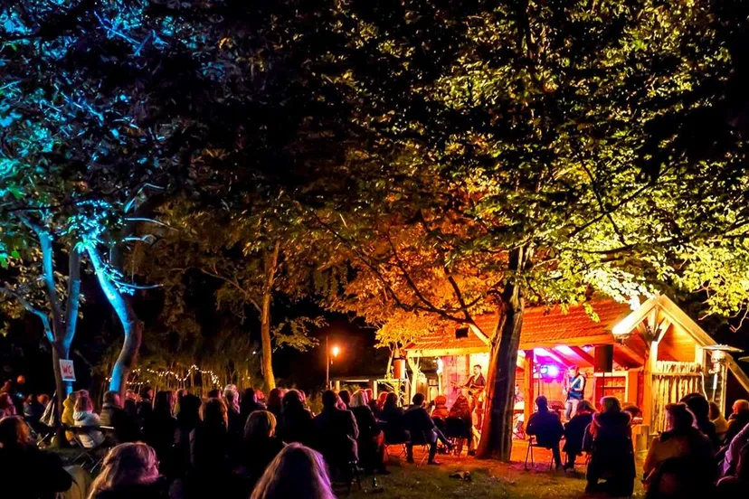 Colorful Silenc 2025-1