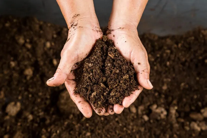 compost-middendrenthe