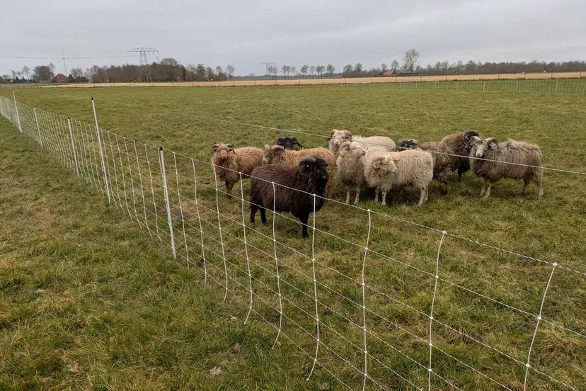 dr-wolfwerende-rasters