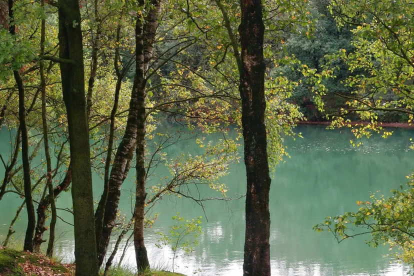 dwingeloo-natuurmonumenten-hans-dekker-namo101480-kleiner