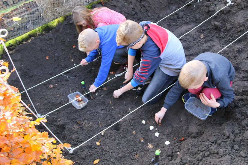 echtenest-bloembollenproject