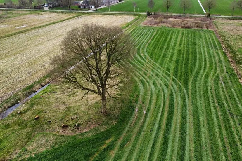 eik-hoogeveen-riegmeer