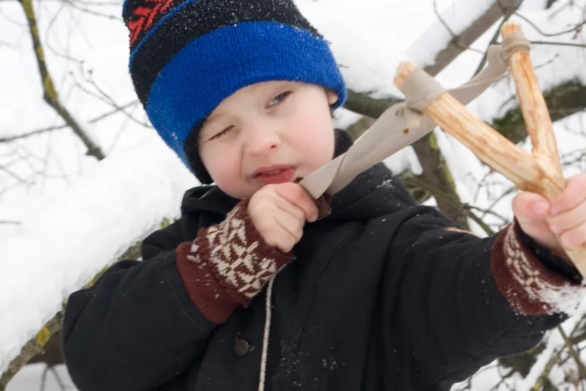 emmen-prugeltie-pixabay