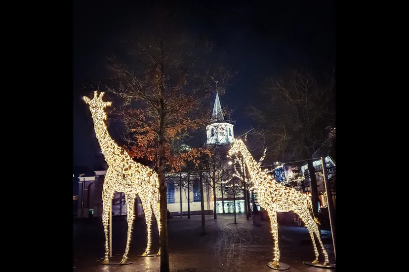 emmen-verlichtedieren-josewithagenbryan11