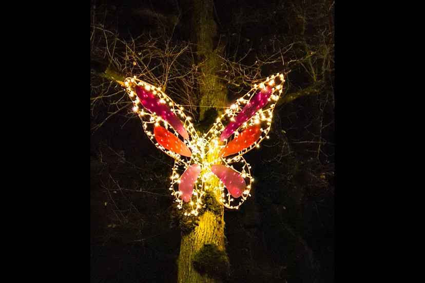 emmen-verlichtedieren-josewithagenbryan2