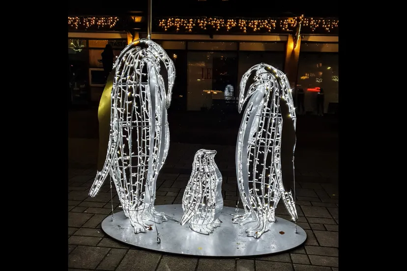 emmen-verlichtedieren-josewithagenbryan4