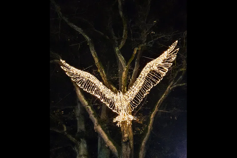 emmen-verlichtedieren-josewithagenbryan5