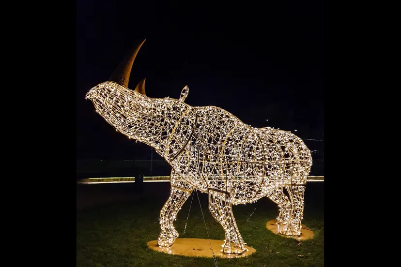 emmen-verlichtedieren-josewithagenbryan7