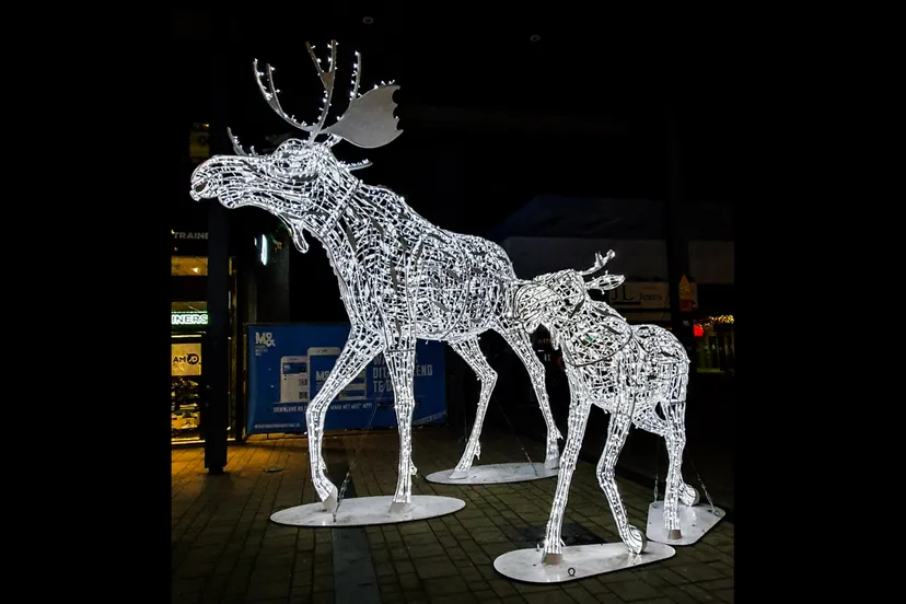 emmen-verlichtedieren-josewithagenbryan8