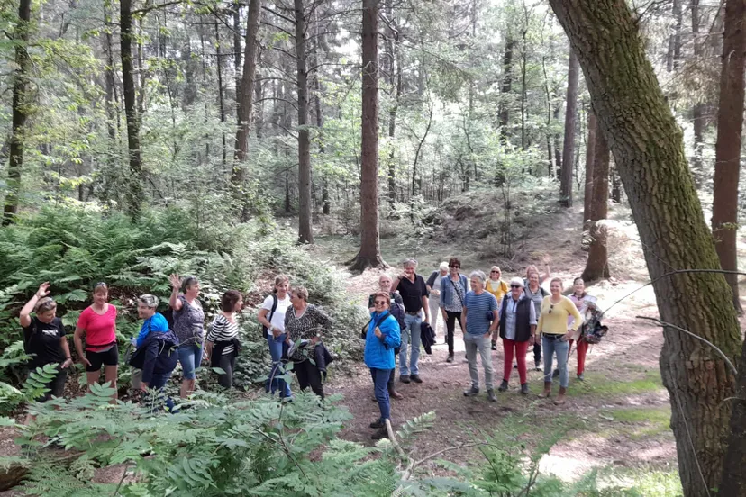 f25921ed-291b-4df9-8b1c-b13035593c45