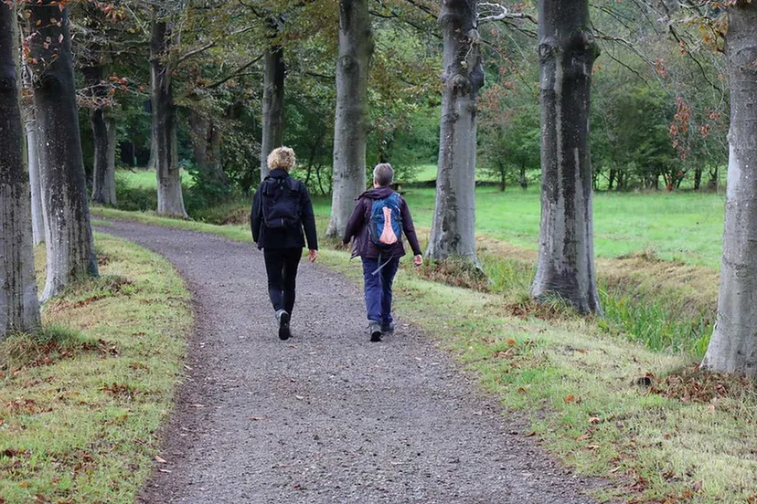 Foto wandeltocht Asser Boys