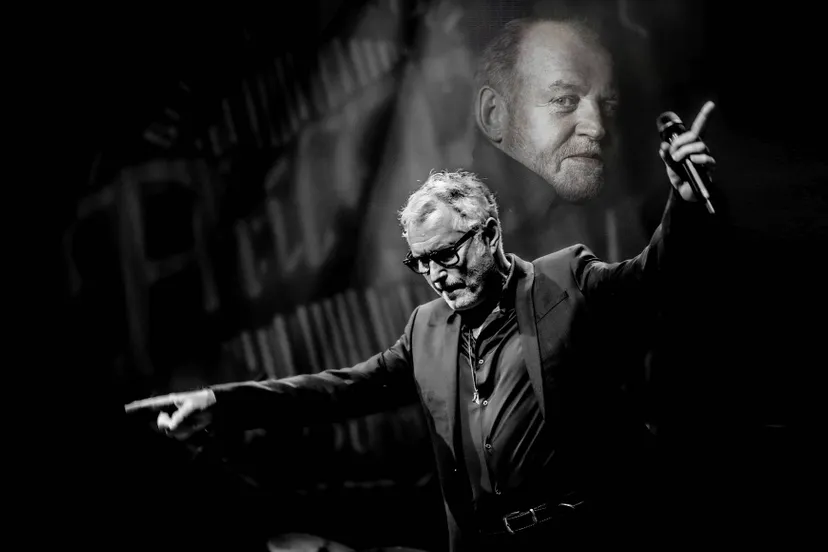 hoo-tamboer-phil-bee-cocker-band-liggend-2425