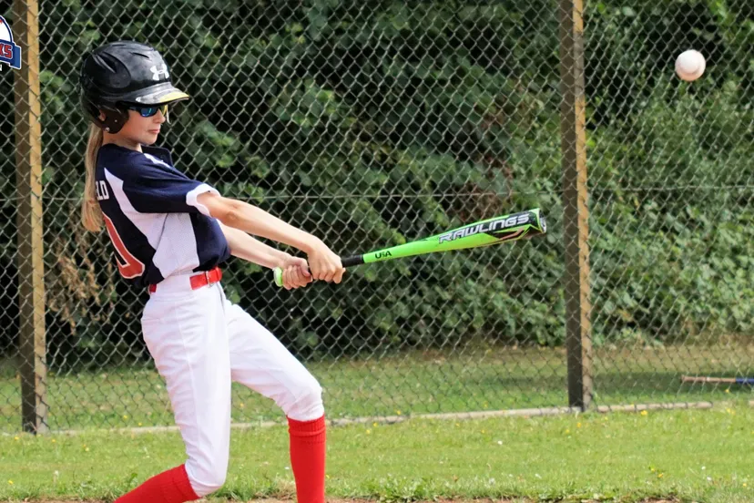 lize-groeneveld-2-honkslag