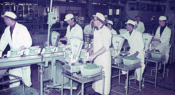 lucas-aardenburg-campagnebeeld