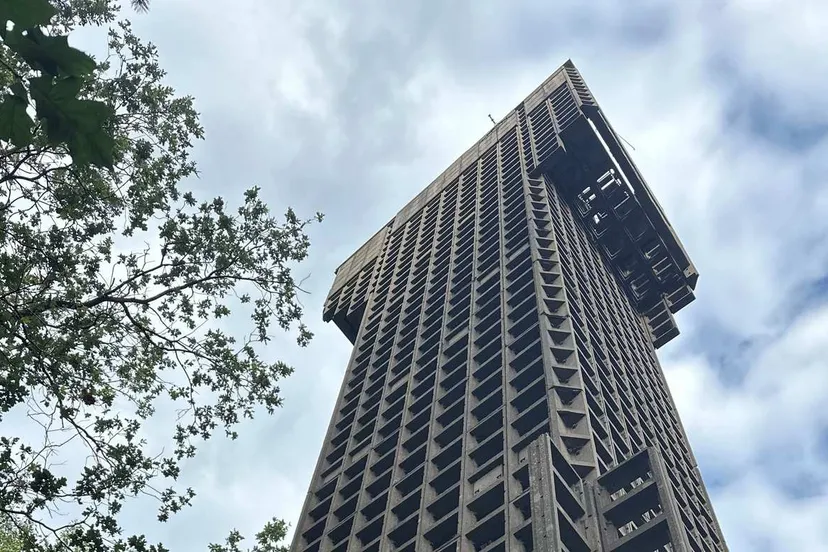 Luchtwachttoren Hees - c Jojanneke Drijver Staatsbosbeheer
