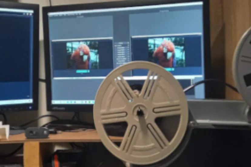 mandemolvideoproducties