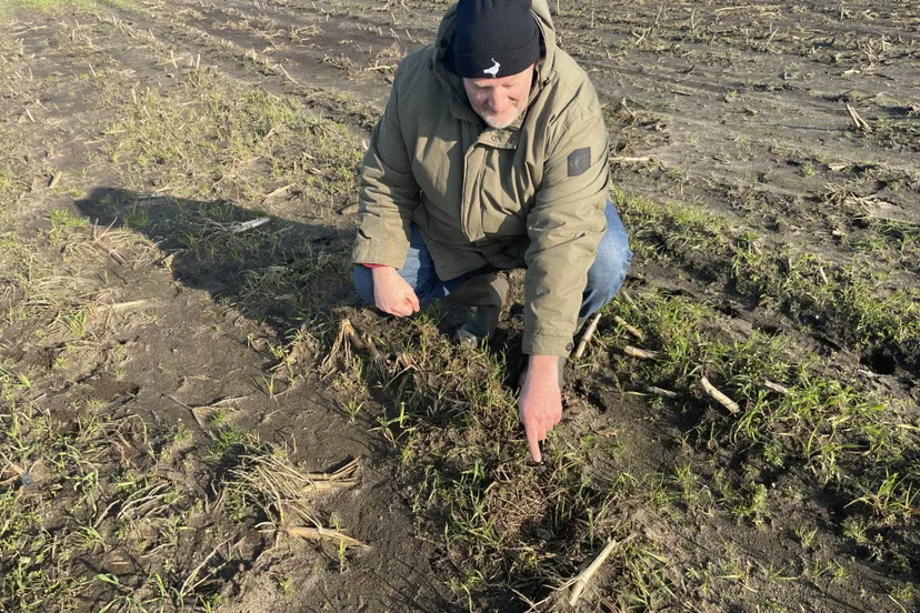 nijeveen-kievitsei-herman-bus