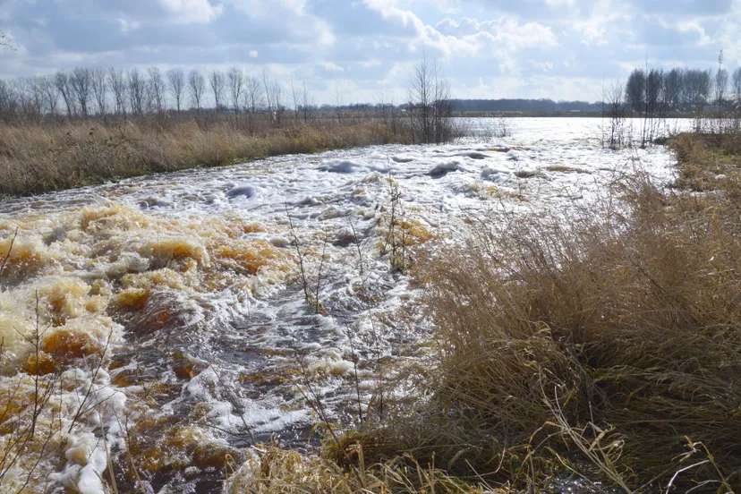 pn03032020-waterberging-panjerd-32