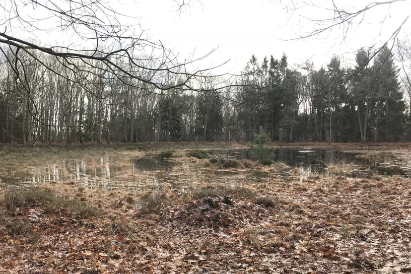 pn28122017-wandeling-echten4