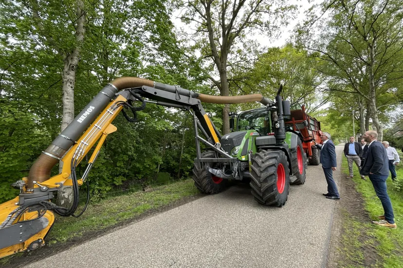 ruinen-bermgras2-scaled