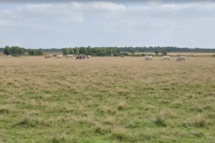 screenshot-2022-05-17-094803