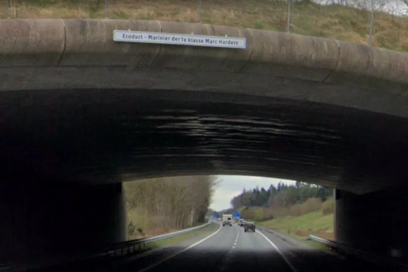 screenshot-2022-06-11-134024